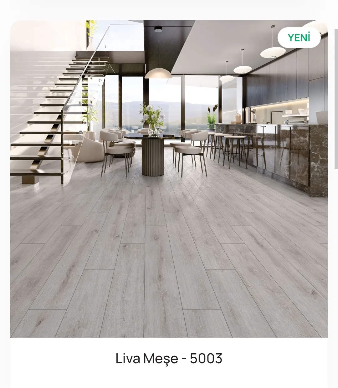 Çamsan Silver Plus